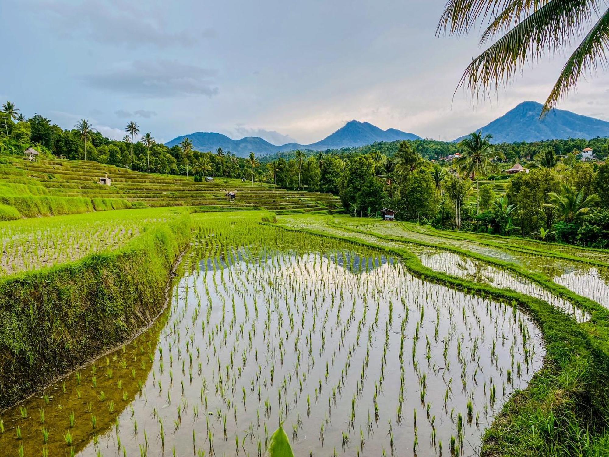 แอเทรส วิลล่า มุนดุก ภายนอก รูปภาพ